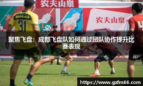 聚焦飞盘：成都飞盘队如何通过团队协作提升比赛表现